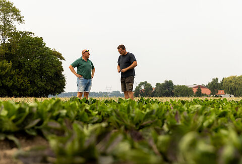 화학 물질 없는 농업의 미래를 향해: 재배자 코엔의 비전