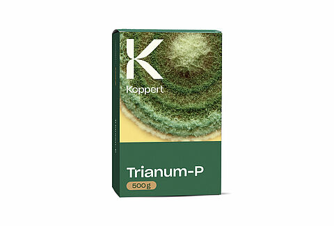 트리아눔-P(Trianum-P)