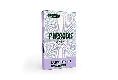 루렘-TR(Lurem-TR)