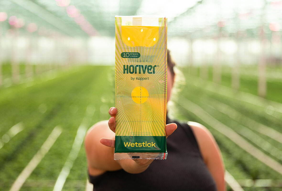 호리버의 새로운 변신!