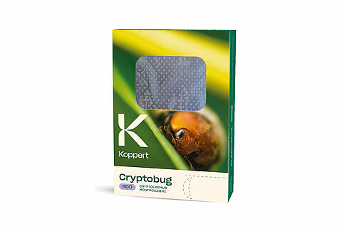 크립토버그(Cryptobug)