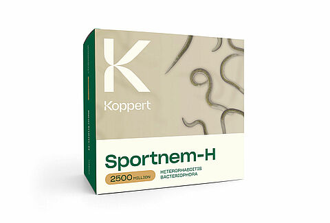 스포트넴-H(Sportnem-H)