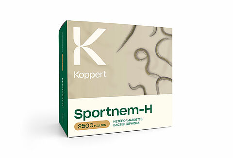 스포트넴-H(Sportnem-H)
