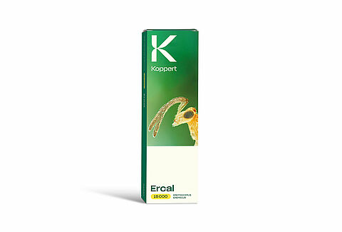 에르칼(Ercal)