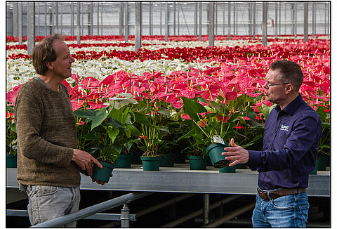 아마존 플랜트는 유기농 재배의 길을 이어갑니다.