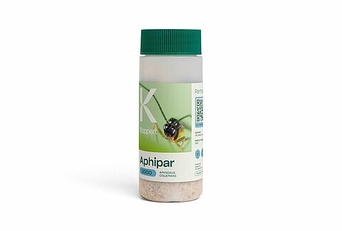 아피파(Aphipar)