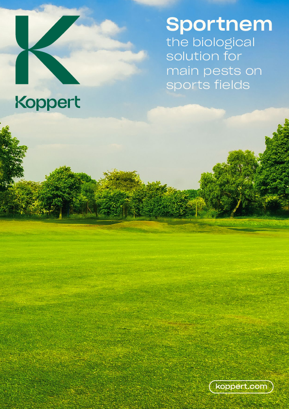 스포츠넴 브로셔