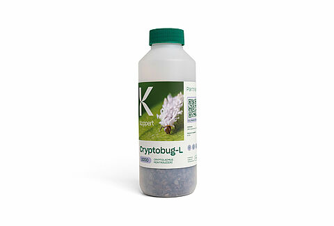 크립토버그-L(Cryptobug-L)