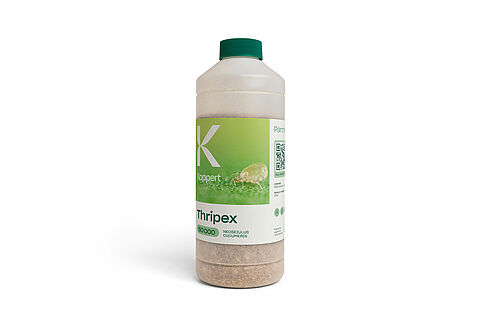 트리펙스(Thripex)