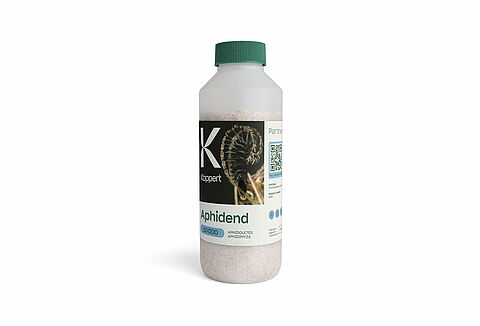 아피덴드(Aphidend)