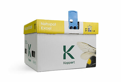 나투벌 엑셀(Natupol Excel)