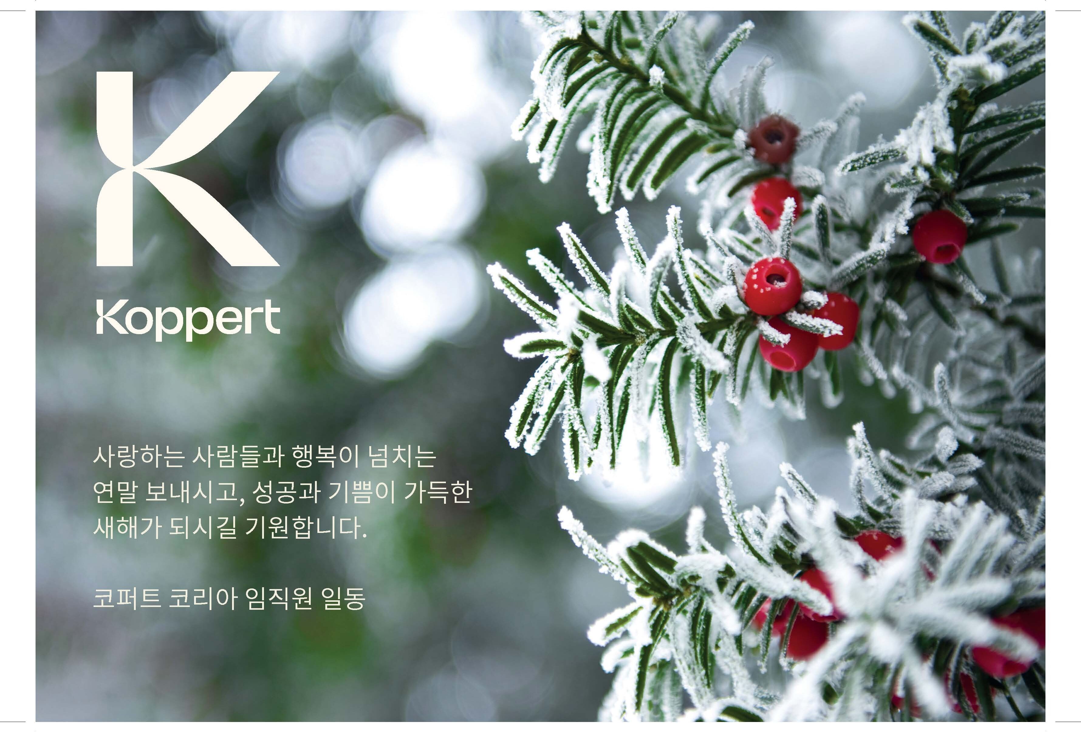 새해 복 많이 받으세요!