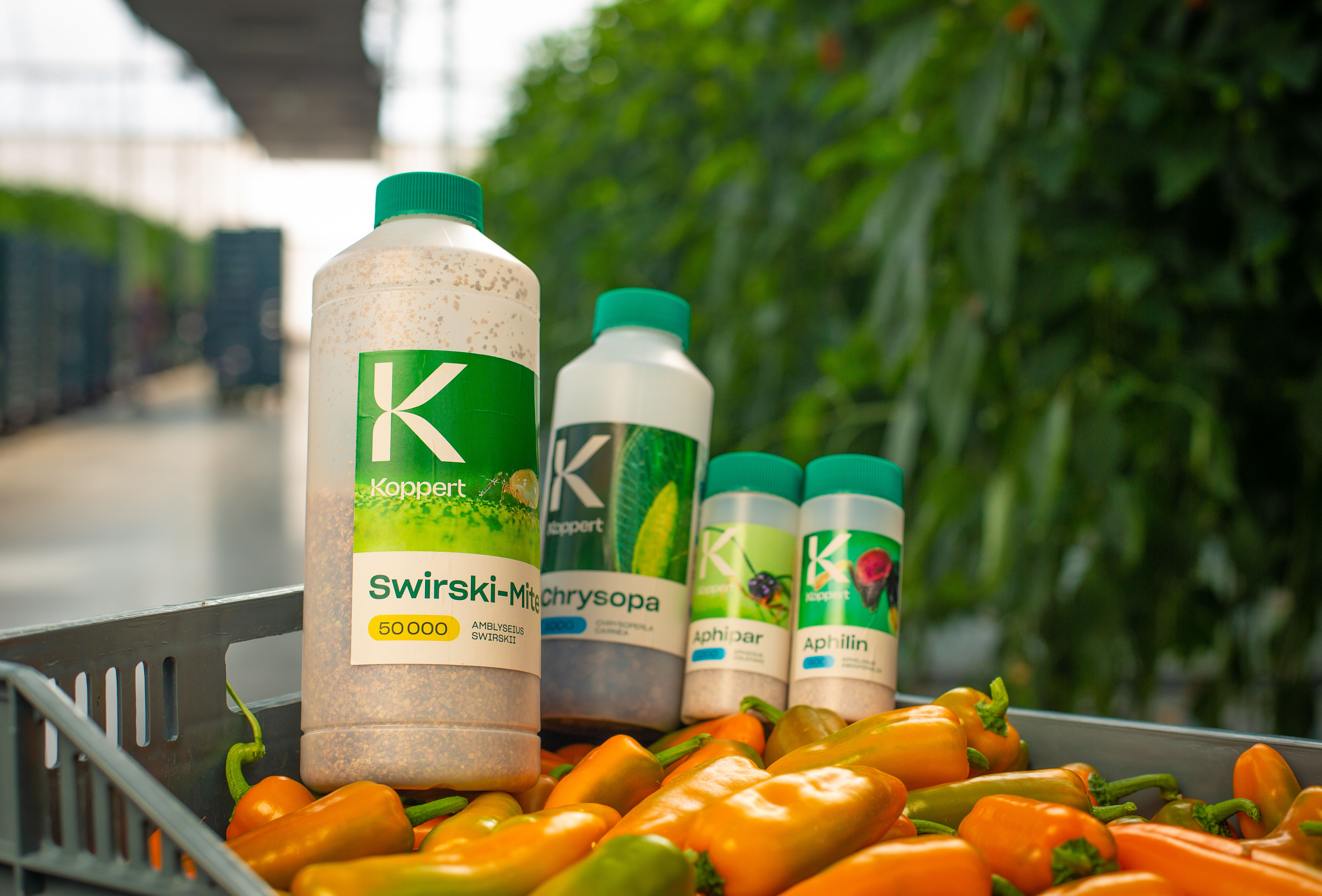 새로운 코퍼트 브랜딩을 만나보세요!