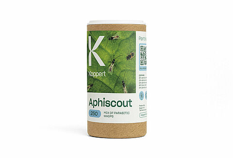 아피스카웃(Aphiscout)