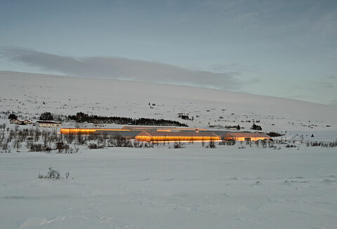 예술적으로 조명된 작물 수분 조언