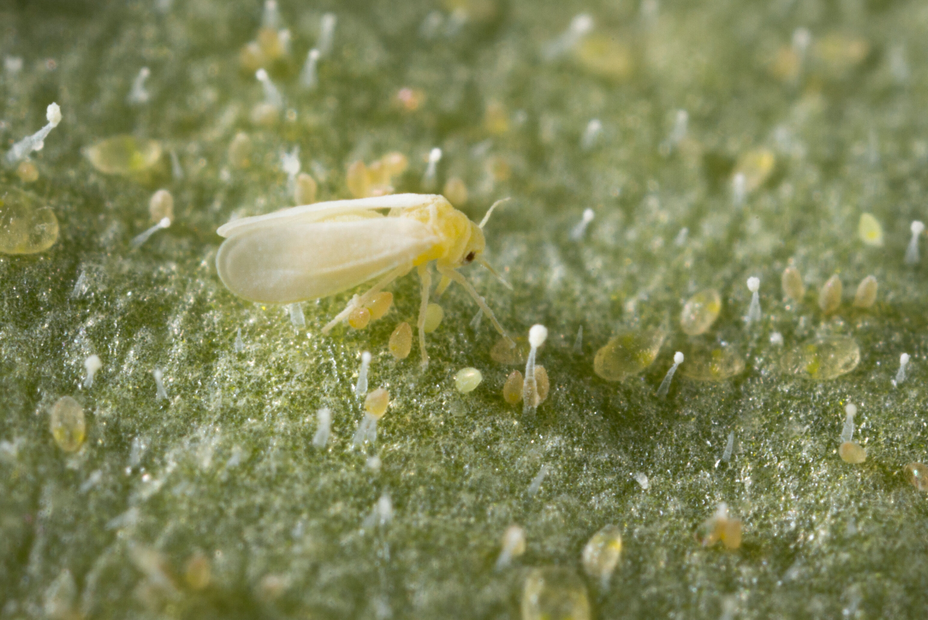 재배용 조명 체크리스트