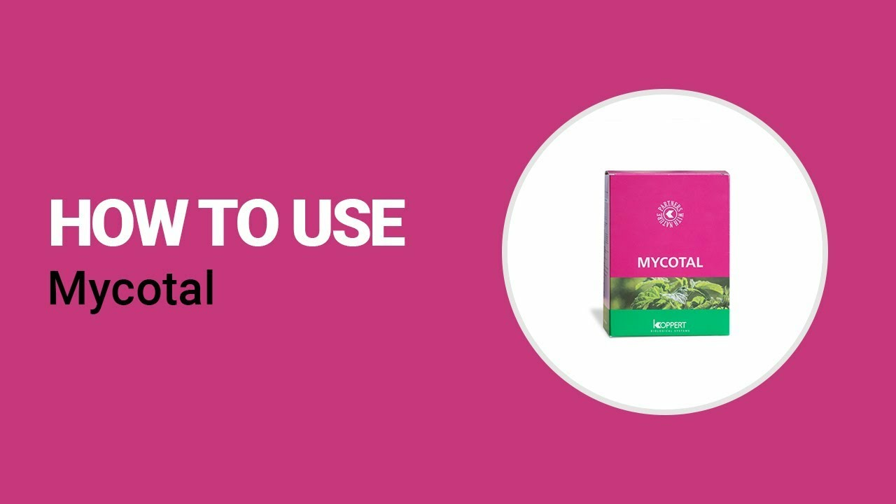How to use Mycotal from Koppert