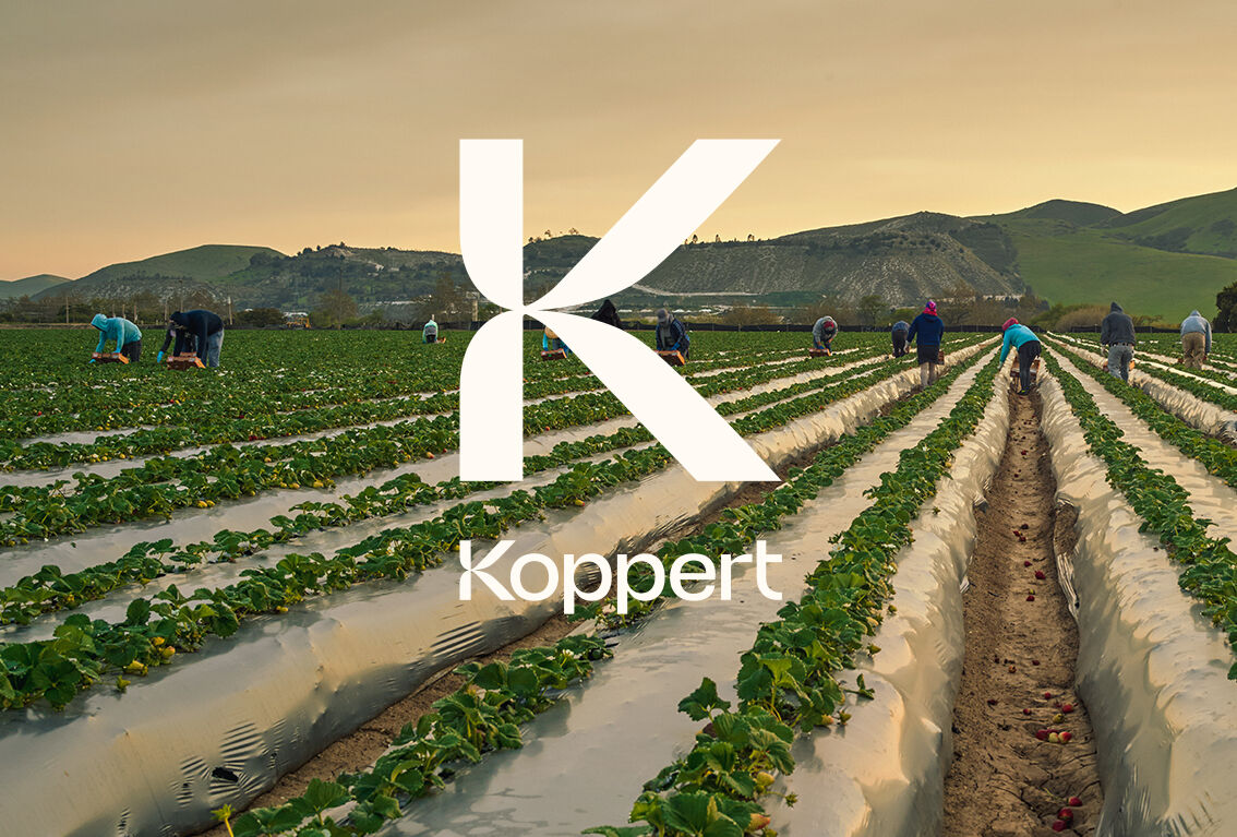 [코퍼트 코리아 캠페인] 큰 변혁은 작은 것에서 시작됩니다.