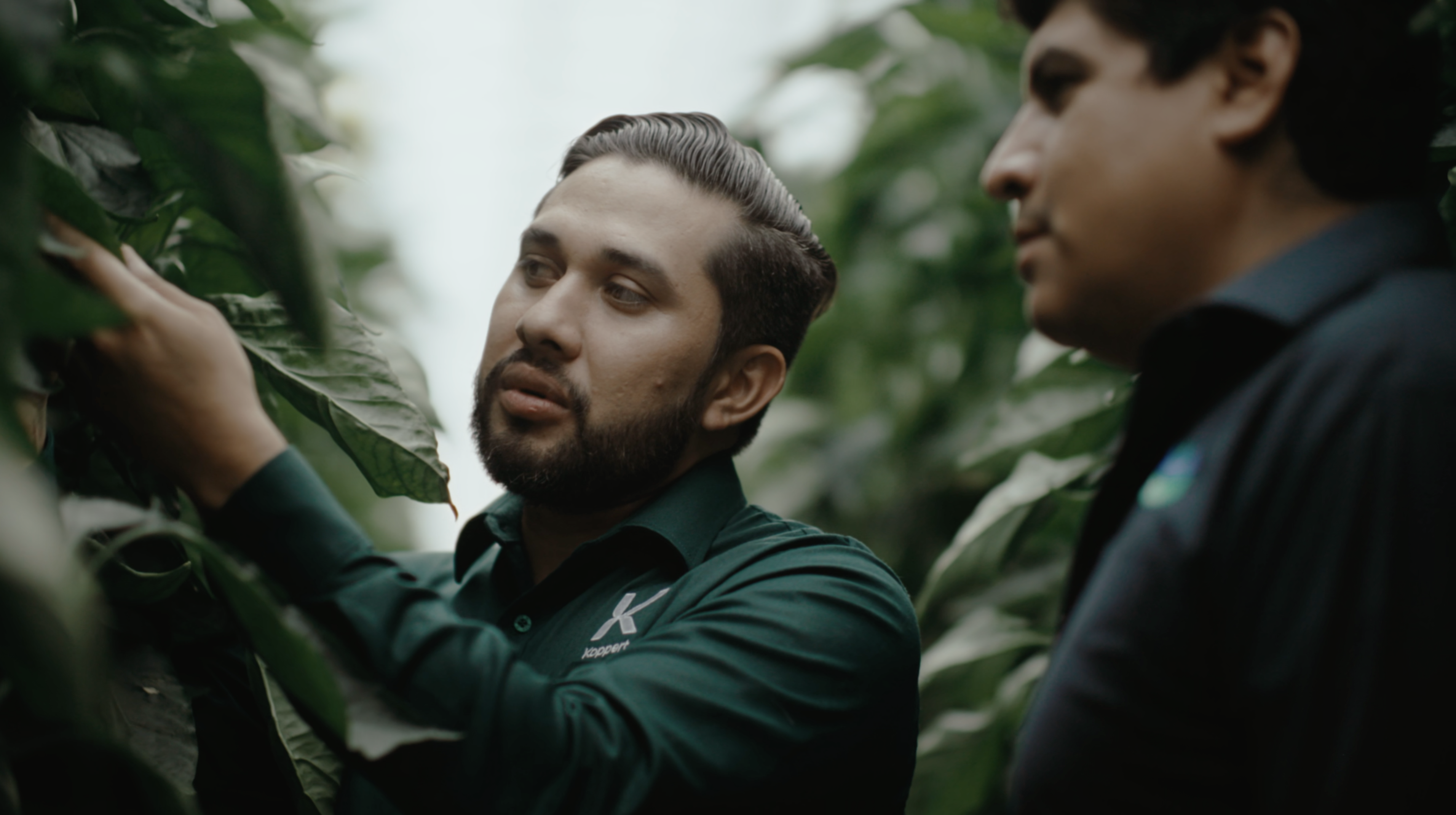 생물학적 방제를 통해 작물 수익성을 높인 라하시엔다 프레시(La Hacienda Fresh)